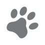 icn-pet-friendly-lg